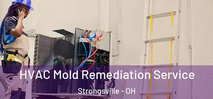  HVAC Mold Remediation Service Strongsville - OH