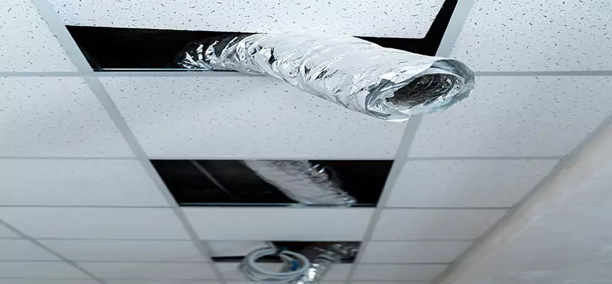 Affordable HVAC Sanitizing After Pest Removal in Strongsville