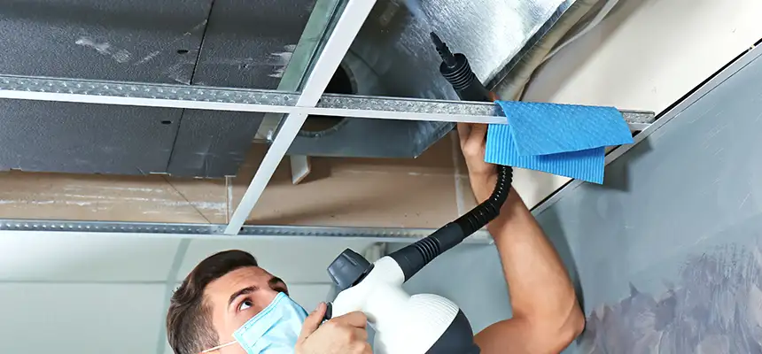 Our Air Duct Rodent Removal Services in Strongsville, OH