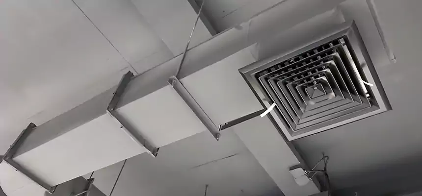 Our Pest Removal From Ducts Services in Strongsville, OH