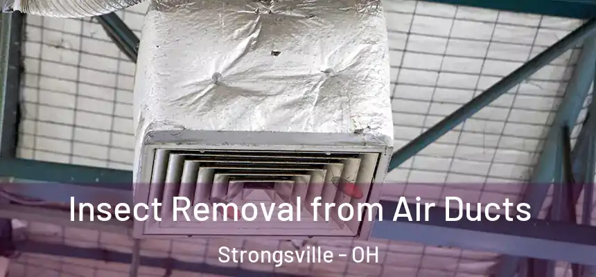  Insect Removal from Air Ducts Strongsville - OH
