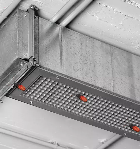 About Air Duct Cockroach Removal in Strongsville, OH