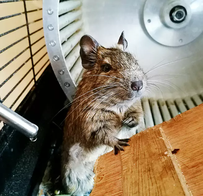 Why Homeowners & Businesses Trust Us Strongsville, OH